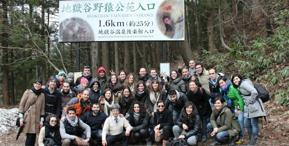 Visiting the Snow Monkeys