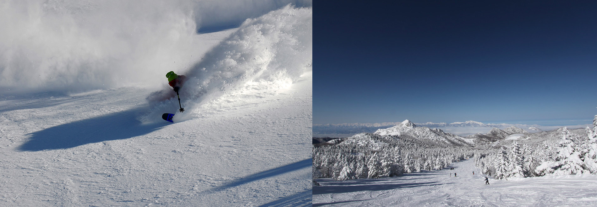 Many popular ski resorts